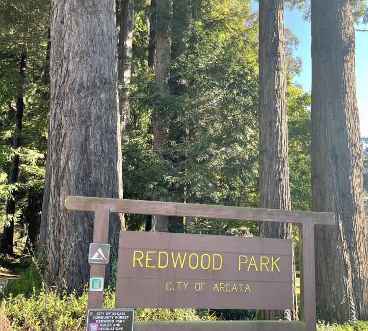 redwood-park-photo